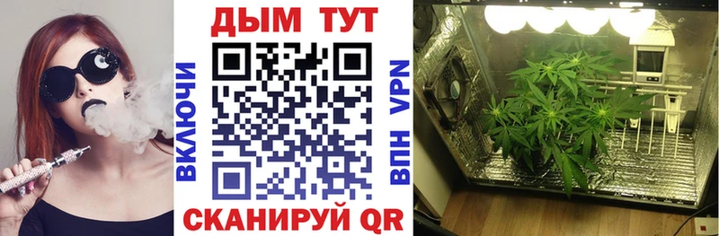 Купить закладку Каннабис  Галлюциногенные грибы  ГАШИШ  МЕФ  СОЛЬ  Рассказово