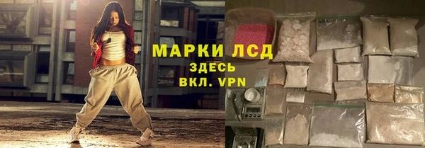 индика Горняк